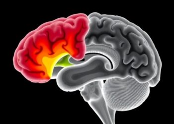 Tactile Discrimination in Adolescents With Anorexia Nervosa: Behavioral and Brain Study