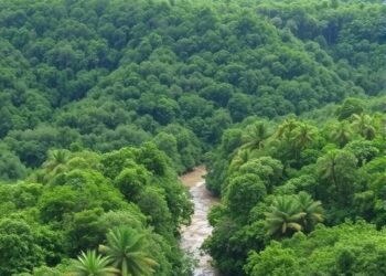 Targeted tropical forest restoration can reduce water losses from deforestation