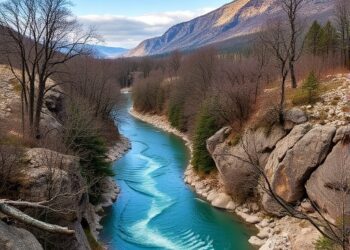 Trump 2025 Roadless Rule repeal could affect drinking water for 25 million