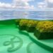 UCSB-Led Researchers Assess Anoxic Marine Basins for Carbon Sequestration Potential