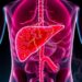 Ulinastatin Shows Therapeutic Effects in Liver Diseases
