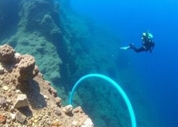 University of Alicante joins UN’s biggest ocean science review