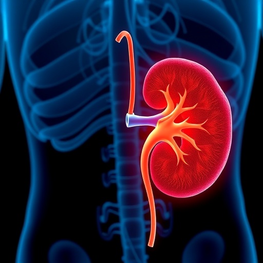 Uremic Toxins Drive Kidney Fat Synthesis and Fibrosis Through AhR Activation
