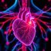 USF Study Finds Promising Strategy to Protect Hearts in Duchenne Muscular Dystrophy