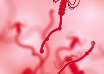 Veillonella ratti alters gut microbiome to prevent EAE disease progression