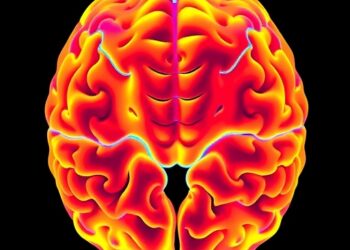 3D imaging maps glioma infiltration and tumor boundaries within 30 minutes