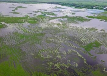 Pre-Hispanic farmers built vast bottom-up water system without bosses, archaeologists