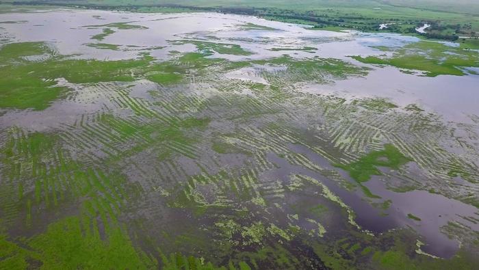 Pre-Hispanic farmers built vast bottom-up water system without bosses, archaeologists