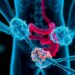 Acacia Catechu Nanocarriers Show Promise Against Dextran Sulfate-Induced Crohn’s Disease