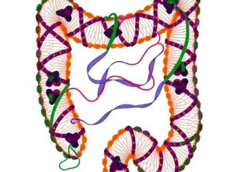 AI Reveals NDRG1-Linked DNA Repair and Synthetic Lethality in Colorectal Cancer