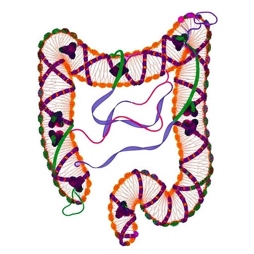 AI Reveals NDRG1-Linked DNA Repair and Synthetic Lethality in Colorectal Cancer
