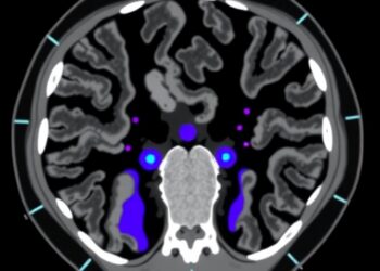All-in-One CT Generation from DICOM with Hybrid Segmentation, TransUNet, and Pix2Pix