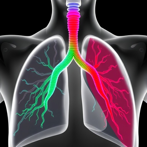Amiloride Eases Respiratory Distress from WFDC2 Deficiency by Blocking Epithelial Sodium Channels