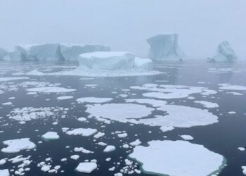 Antarctic coastal freshening could harm the whole planet, scientists warn