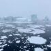 Antarctic coastal freshening could harm the whole planet, scientists warn