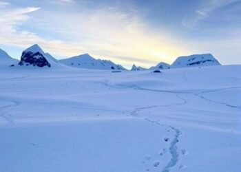 Antarctica’s brief rebound reflected climate variability, not a new normal