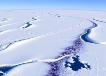 Arctic-Tropical Summer Link Connects Beaufort Sea Ice Variability With North Atlantic Temperatures