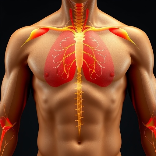 Arginine strengthens the body’s defenses against tumors and viral infections