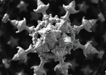 Atomic electron tomography reveals crystal nucleation and growth in high-entropy alloys