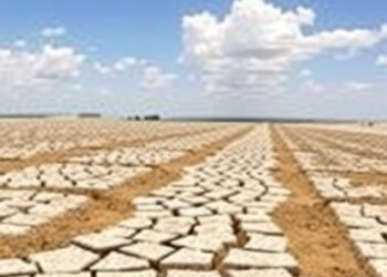 Author Correction: Ten Insights and Gaps in Drought Risk Research and Policy