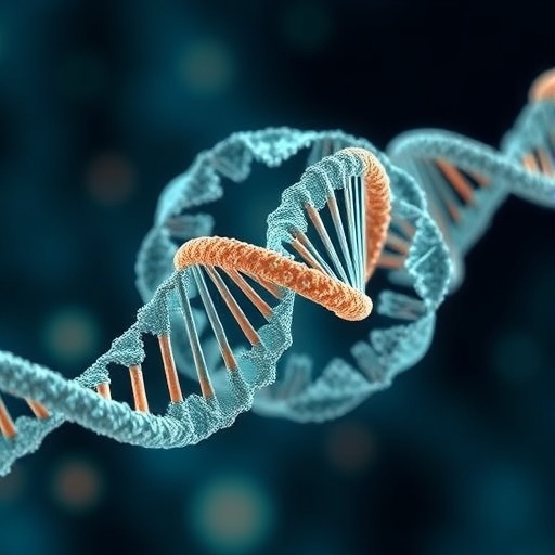 Balanced mRNA and ribosome levels govern growth in eukaryotic cells