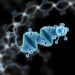 Barley Cold-Inducible Disordered Protein CISP Acts as a Small RNA Chaperone