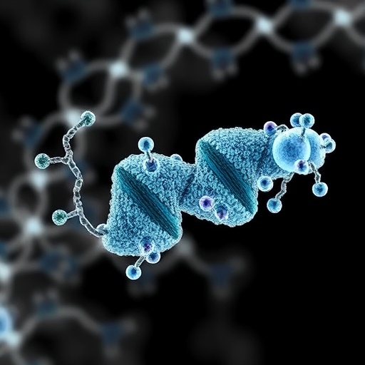 Barley Cold-Inducible Disordered Protein CISP Acts as a Small RNA Chaperone