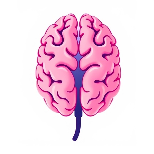 Barrow Institute Receives $5 Million for Ibogaine Traumatic Brain Injury Trial