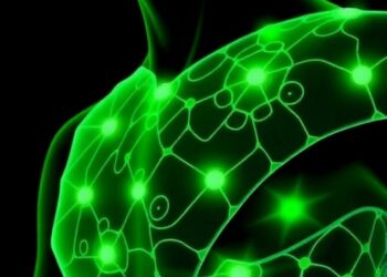 Biomass-Derived Conductive E-Skin Advances Wearable Bioelectronics and Smart Wound Healing