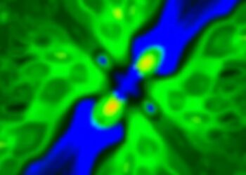 Biomedical Imaging Foundation Models: Separating Hype from Reality
