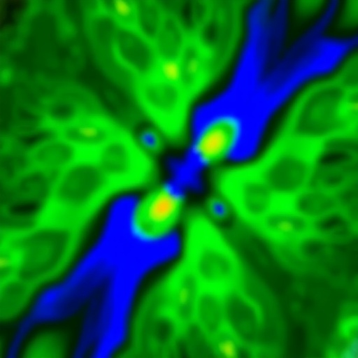 Biomedical Imaging Foundation Models: Separating Hype from Reality