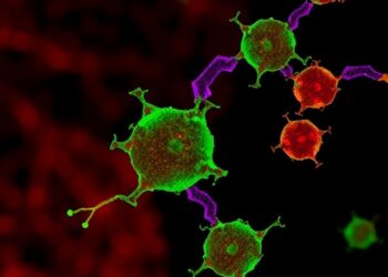 Blocking glucosylceramide production kills cancer cells via lysosomal dysfunction, not ceramide buildup