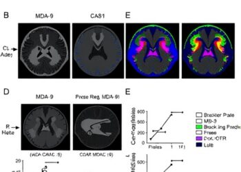 Blocking MDA-9 slows head and neck tumors and overcomes treatment resistance