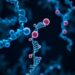 Blood protein ApoB linked to suicidal thoughts, study and genetic analysis suggest