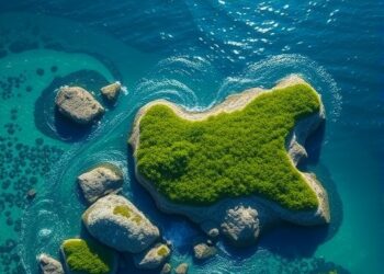 Blue carbon ecosystems capture carbon across coastal and marine environments