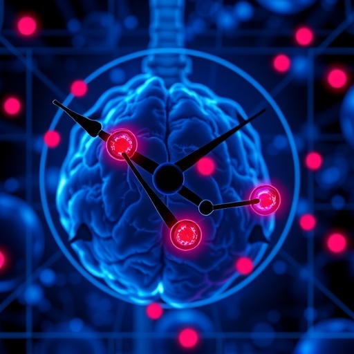 Body clock regulation of tumor vesicle release influences targeted therapy effectiveness