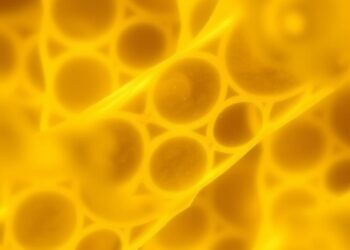 Bone Marrow Stem Cell Supernatant Fights Candida and Biofilms in Vaginal Infections