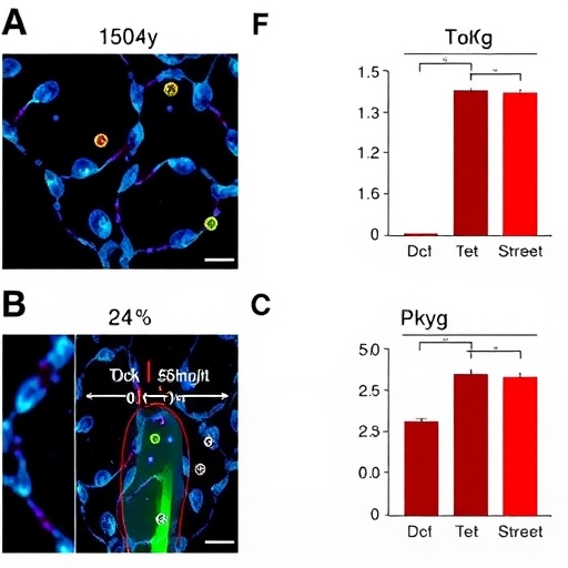 Bortezomib Shows Bacteriostatic and Pro-Inflammatory Effects Against Mycoplasma pneumoniae