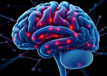 Brain Circuit Changes Link Anterior Cingulate Connectivity to Suicidal Thoughts in Depression