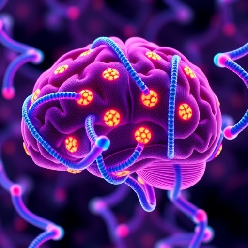Brain mega-enhancers compartmentalize transcriptionally active long genes
