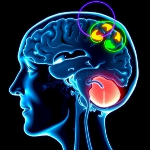 Brain scans reveal how people judge whether they control their actions