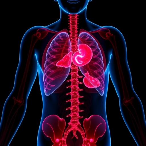 C2ORF68 stabilizes SIVA1, boosting BCL-2 and preventing apoptosis in gallbladder cancer
