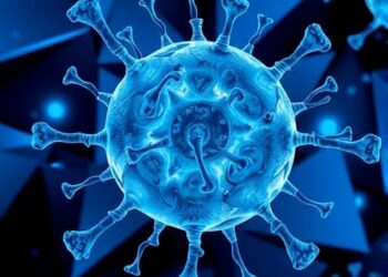 Can the Immune System Learn Like Artificial Intelligence?