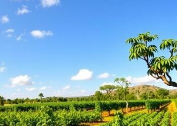 Carbon Reduction Goals Decouple Emissions from Land-Use Efficiency: Driving Forces Revealed