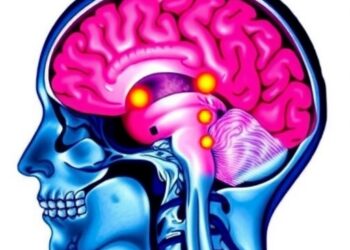 Case Report Details Encephalitis Confined to the Cerebral Cortex