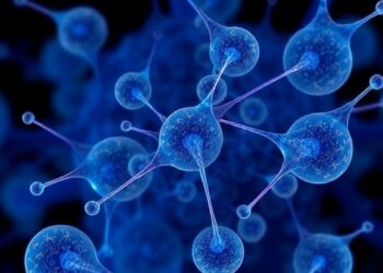 Case Series: Inotuzumab Salvage Therapy for Relapsed B-ALL After CAR-T and HSCT