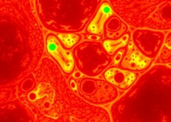CDK12-Regulated Super-Enhancers Drive Retinoblastoma Progression