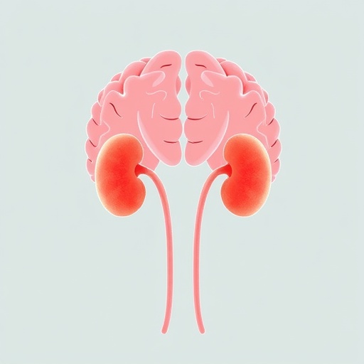 Child Brain Tumor Survivors Face Acute Kidney Injury During Treatment