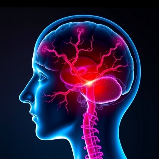 Chinese Neurosurgical Journal study shows LVIS stent alters blood flow in aneurysms