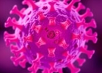 Cholesterol sensor helps immune cells maintain balance